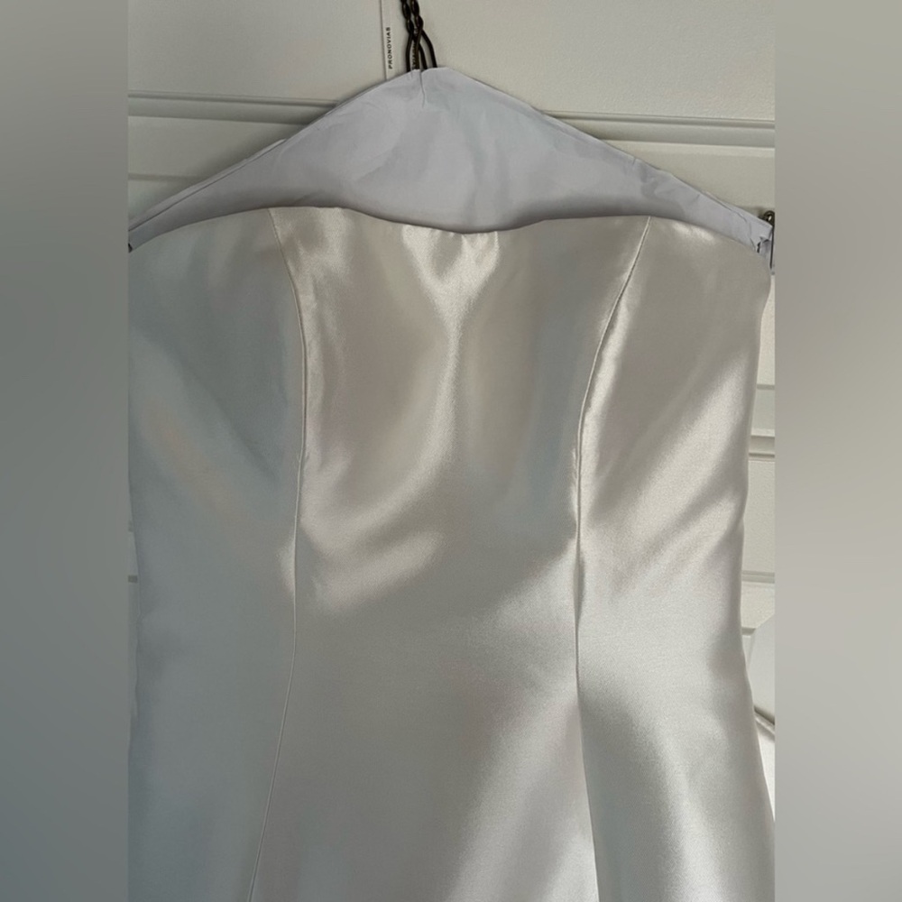 Pronovias Atelier Wedding Dress - Picture 4 of 6